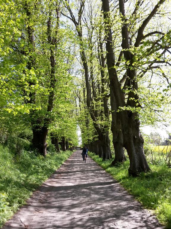 Ruegen Findling Breege