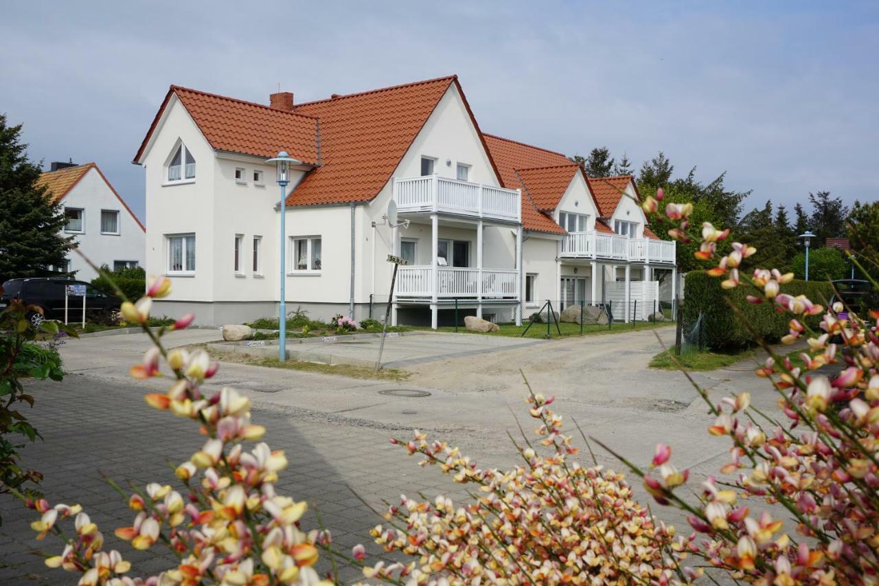 Ruegen Findling *